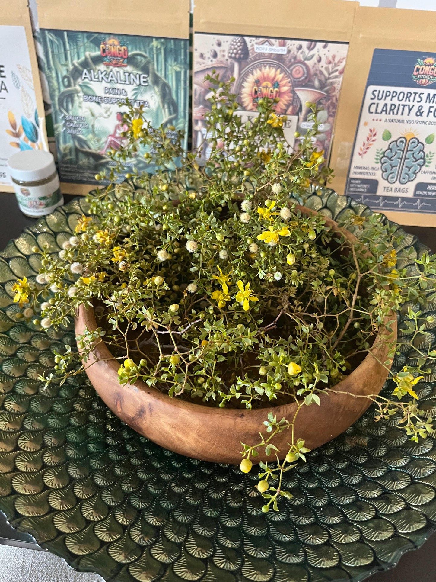 Fresh Chaparral Herb Larrea tridentata | creosote bush tea detox dried herb | Desert Rain Incense Herb