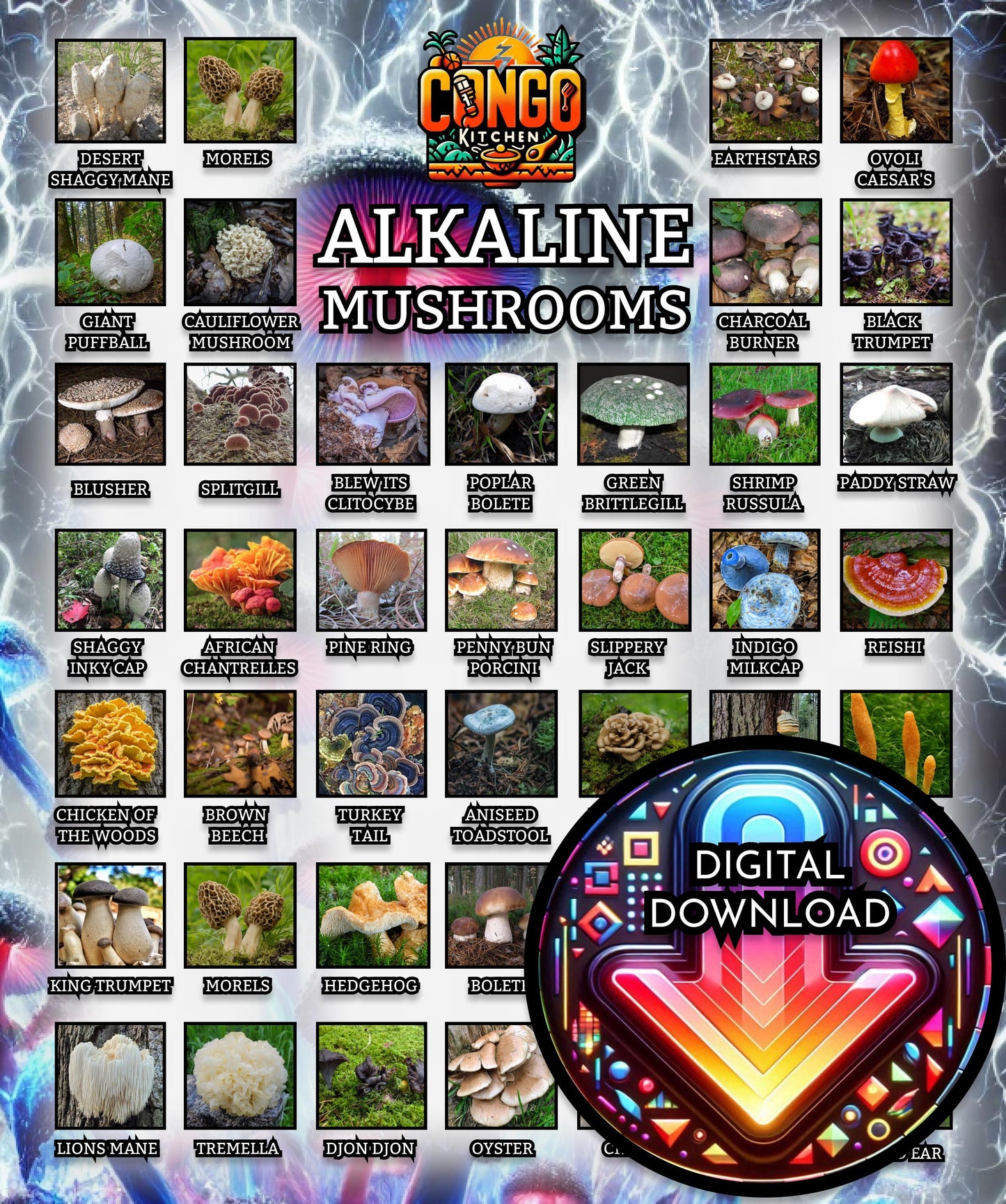 Alkaline Food, Alkaline Mushrooms List | Alkaline Vegan Electric MUSHROOM Food Chart Poster | List of Dr Sebi Approved Foods Digital Print