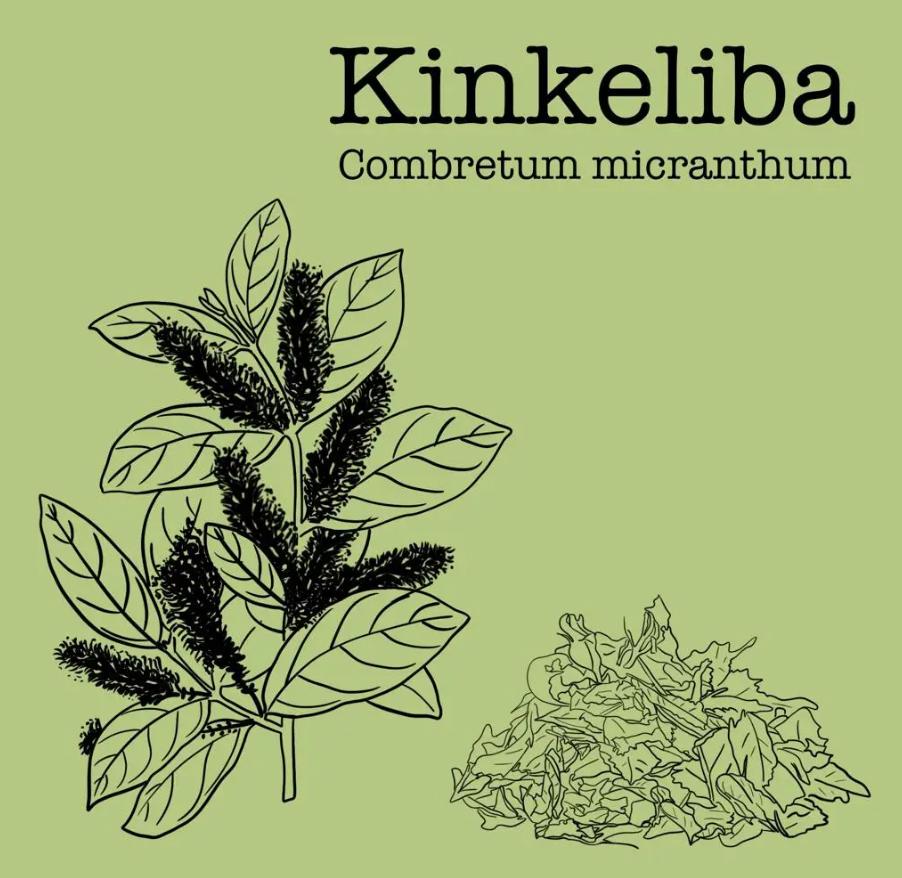 Alkaline Energy Seh Haw & Mullein Tea 100% Natural + Pure Kinkeliba + Gordolobo Herb | Boost Energy + Raise PH | Caffeine Free Respiratory