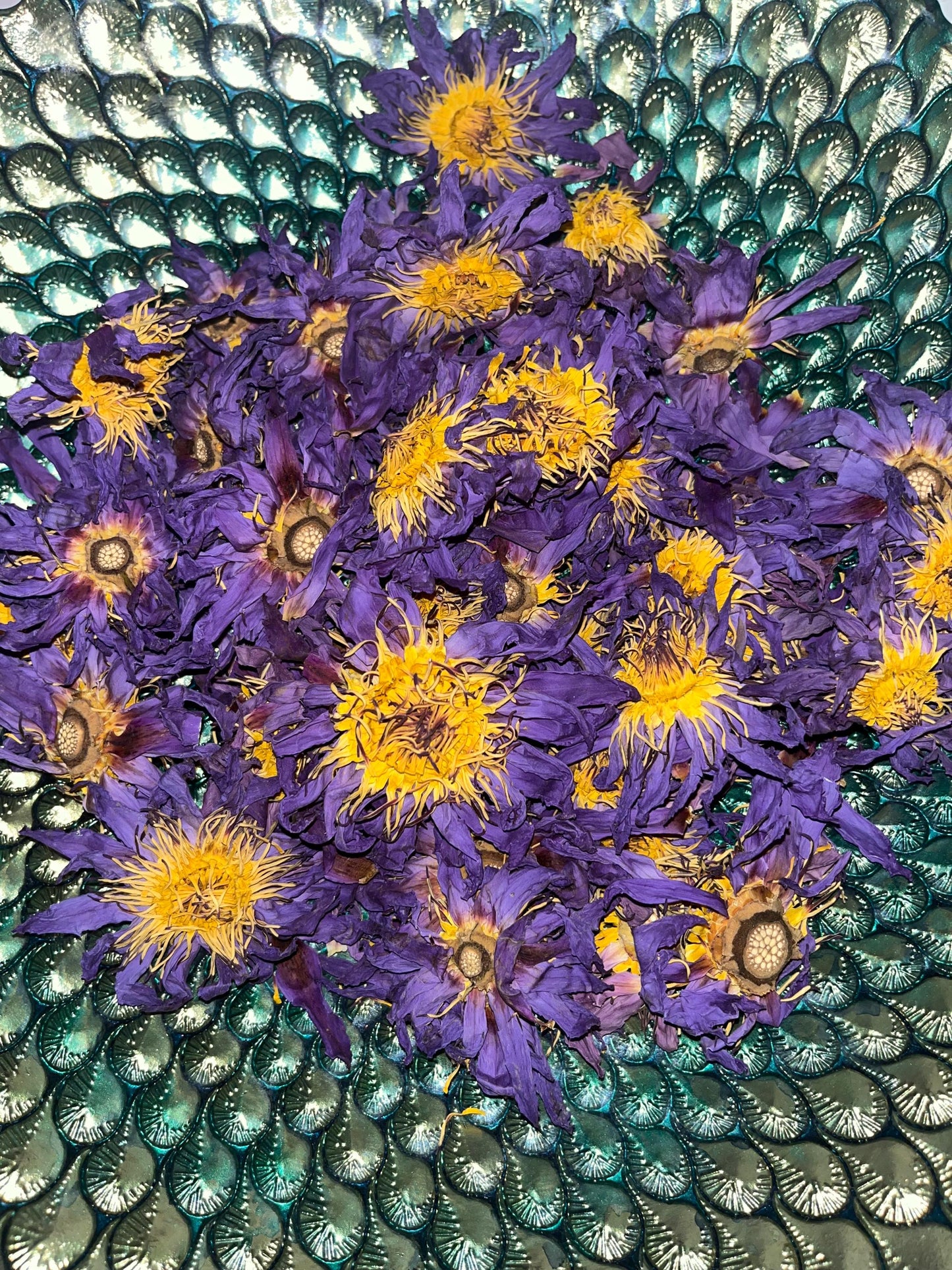 Egyptian Blue Lotus Flower Wildcrafted Loose Herb Herbal Tea | Nymphaea Caerulea