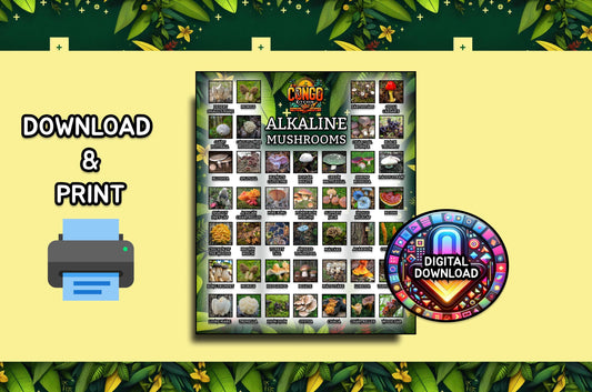 Alkaline Food, Alkaline Mushrooms List | Alkaline Vegan Electric MUSHROOM Food Chart Poster | List of Dr Sebi Approved Foods Digital Print