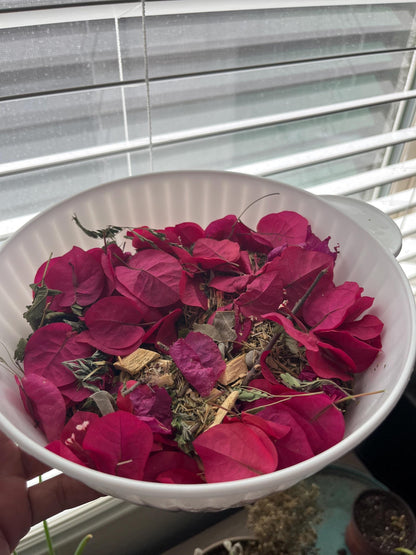 Fresh Bougainvillea Flowers Bugambilia flor/Te, Bougainvillea dried flower/petals, Bougainvillea tea/infusion, te de bugambilia |